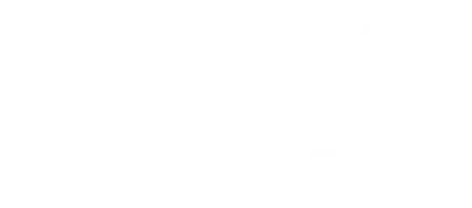 Company Logo Light