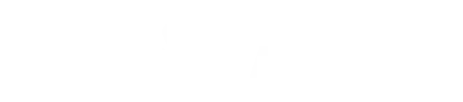 Company Logo Light