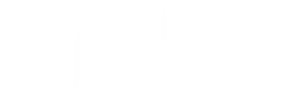 Company Logo Light