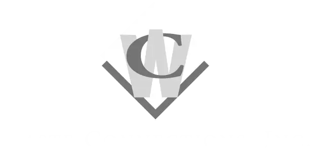 Company Logo Light
