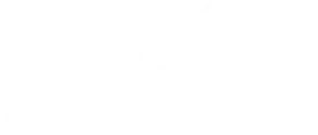 Company Logo Light