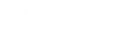 Company Logo Light