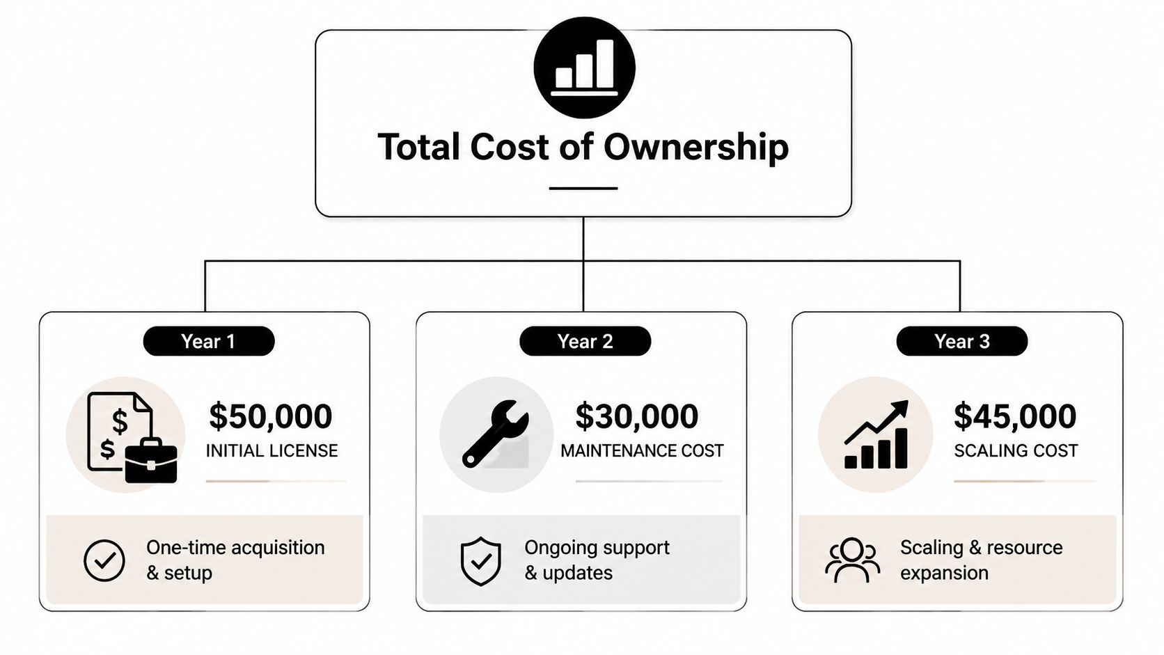 A diagram illustrating the total cost of ownership over three years with itemized expenses for each year.